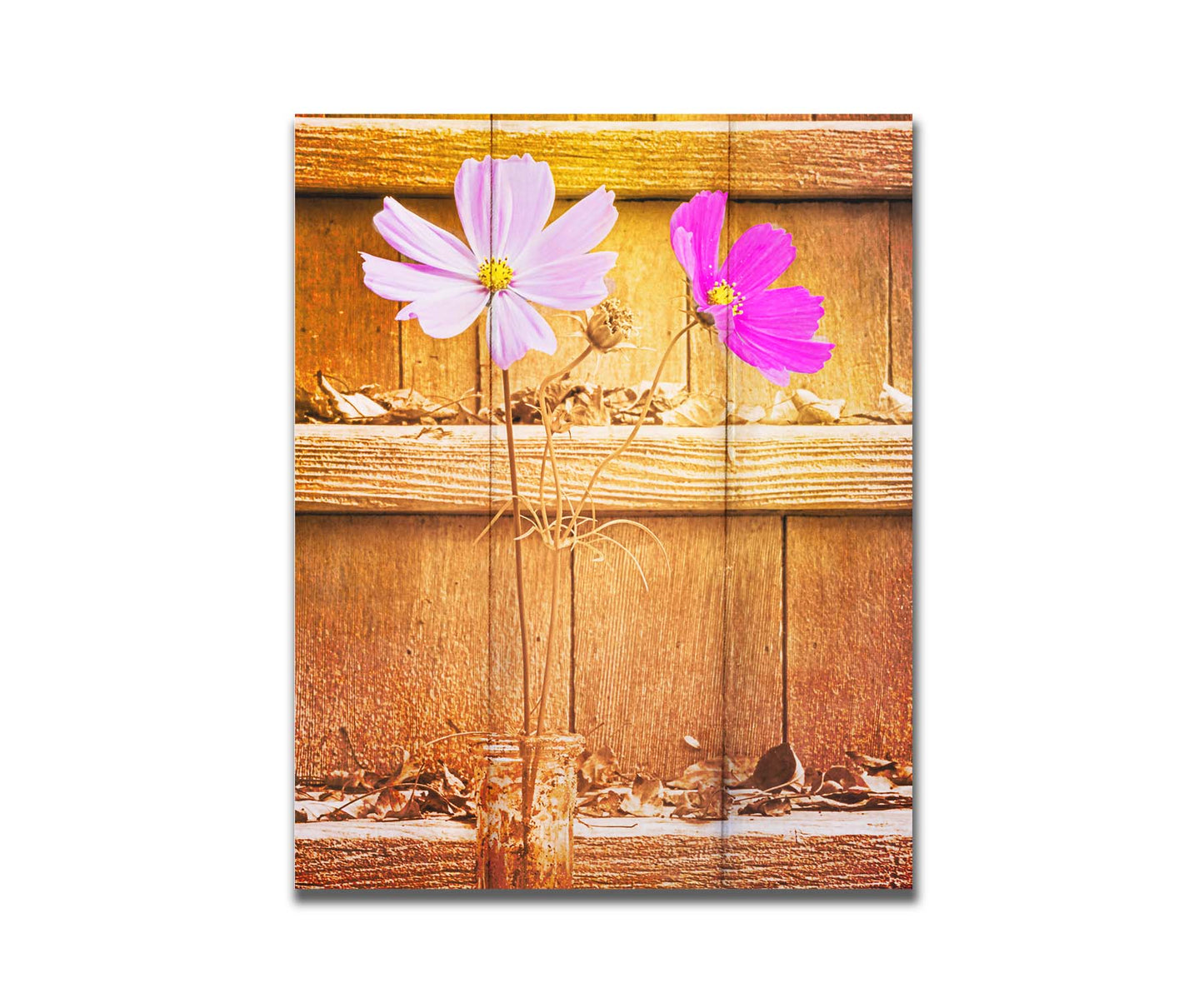 A photograph of two purple flowers in front of wooden steps, with all but the flower petals edited with a sepia tone. Printed on a box board.