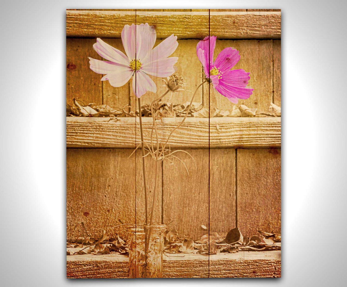 A photograph of two purple flowers in front of wooden steps, with all but the flower petals edited with a sepia tone. Printed on a wood pallet.