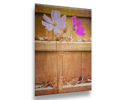 A photograph of two purple flowers in front of wooden steps, with all but the flower petals edited with a sepia tone. Printed on metal.