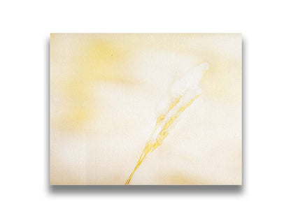 A photograph of a fine strand of grass seed delicately topped with icy snow. Printed on canvas.