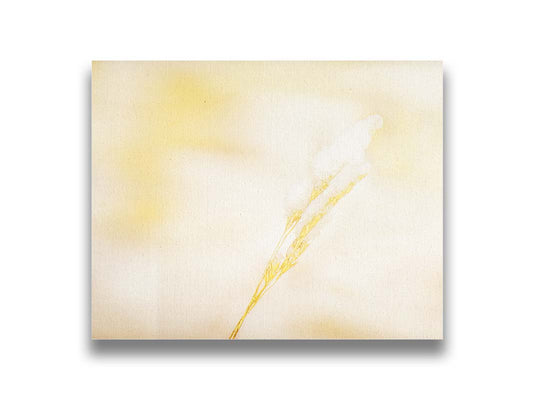 A photograph of a fine strand of grass seed delicately topped with icy snow. Printed on canvas.