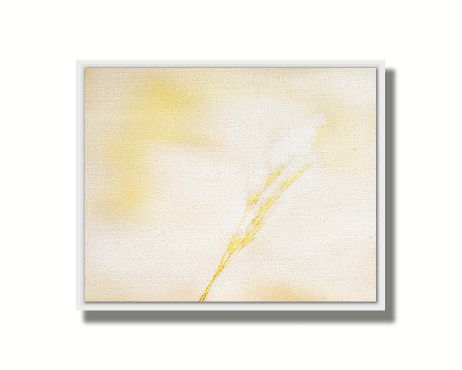 A photograph of a fine strand of grass seed delicately topped with icy snow. Printed on canvas in a float frame.