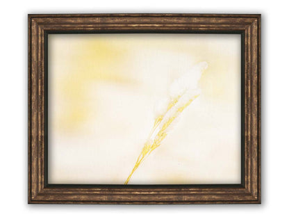 A photograph of a fine strand of grass seed delicately topped with icy snow. Printed on canvas and framed.