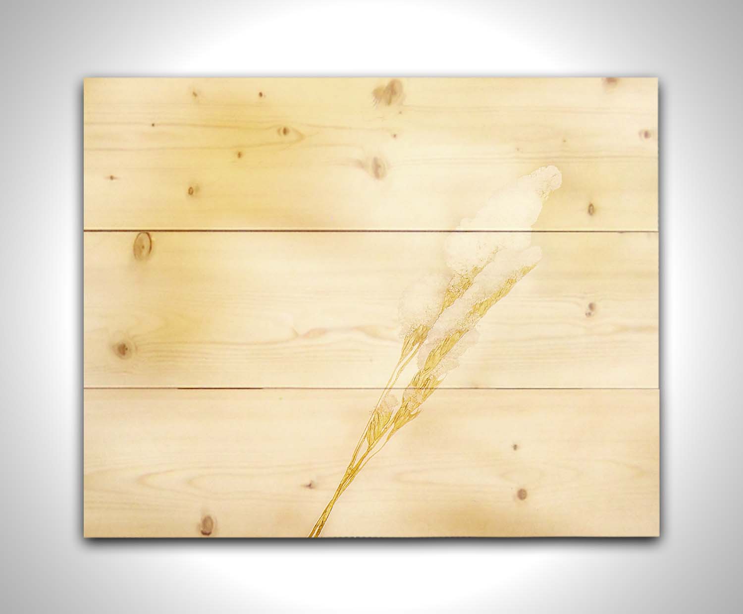 A photograph of a fine strand of grass seed delicately topped with icy snow. Printed on a wood pallet.