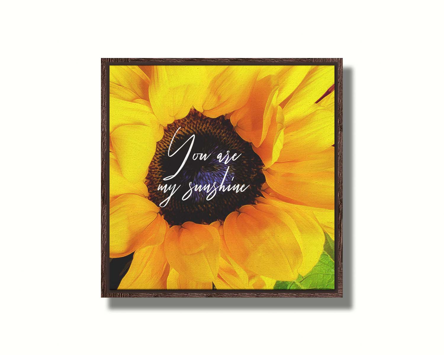 A closeup photo of a bright yellow sunflower, edited in a painterly style and overlaid with the quote "You are my sunshine." Printed on canvas in a float frame.