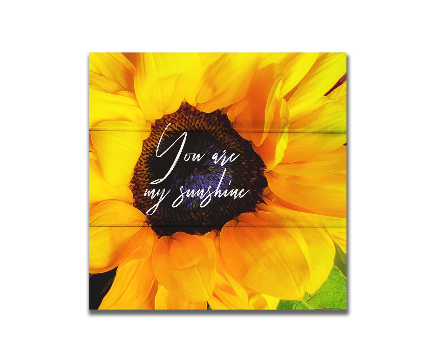 A closeup photo of a bright yellow sunflower, edited in a painterly style and overlaid with the quote "You are my sunshine." Printed on a box board.