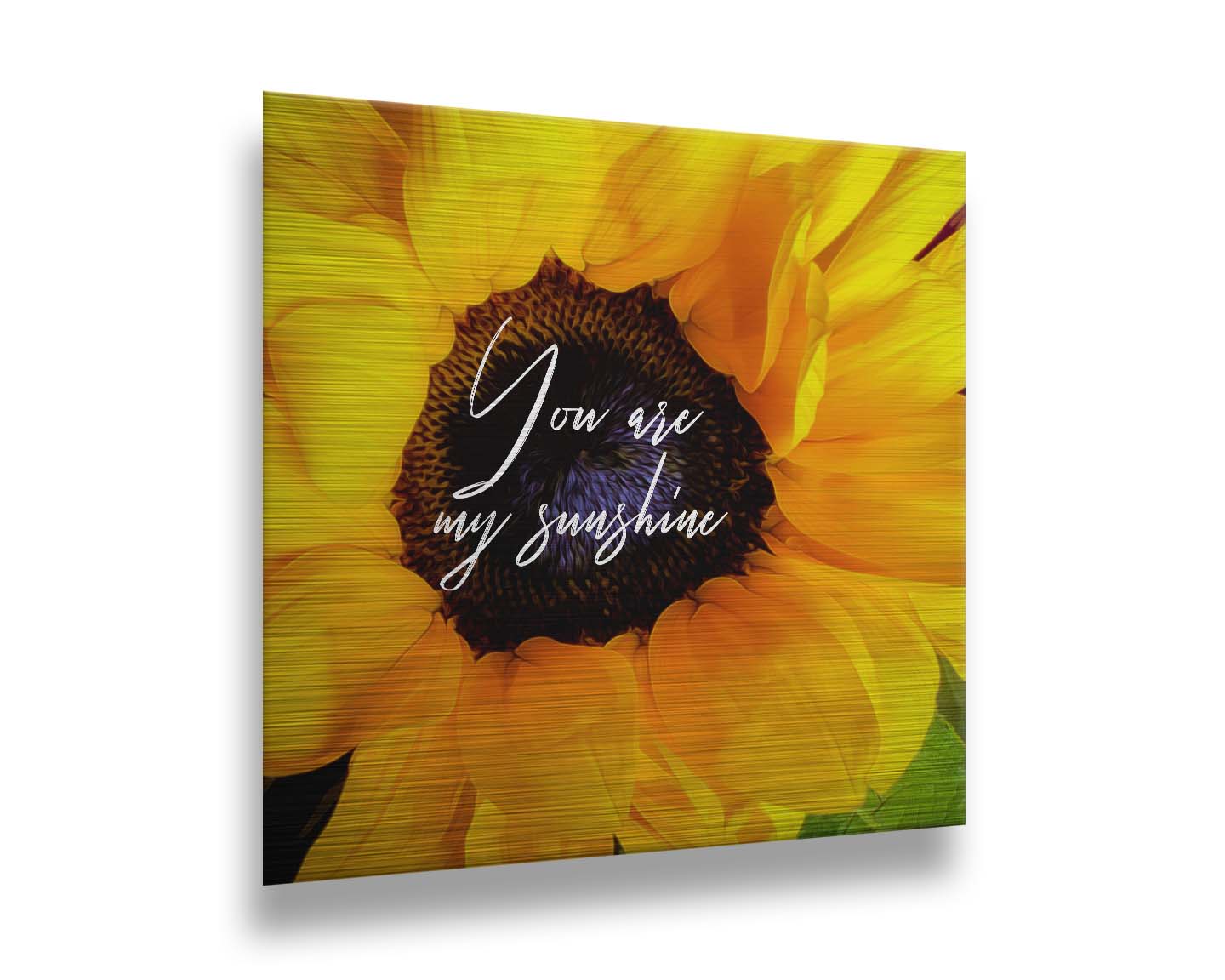 A closeup photo of a bright yellow sunflower, edited in a painterly style and overlaid with the quote "You are my sunshine." Printed on metal.