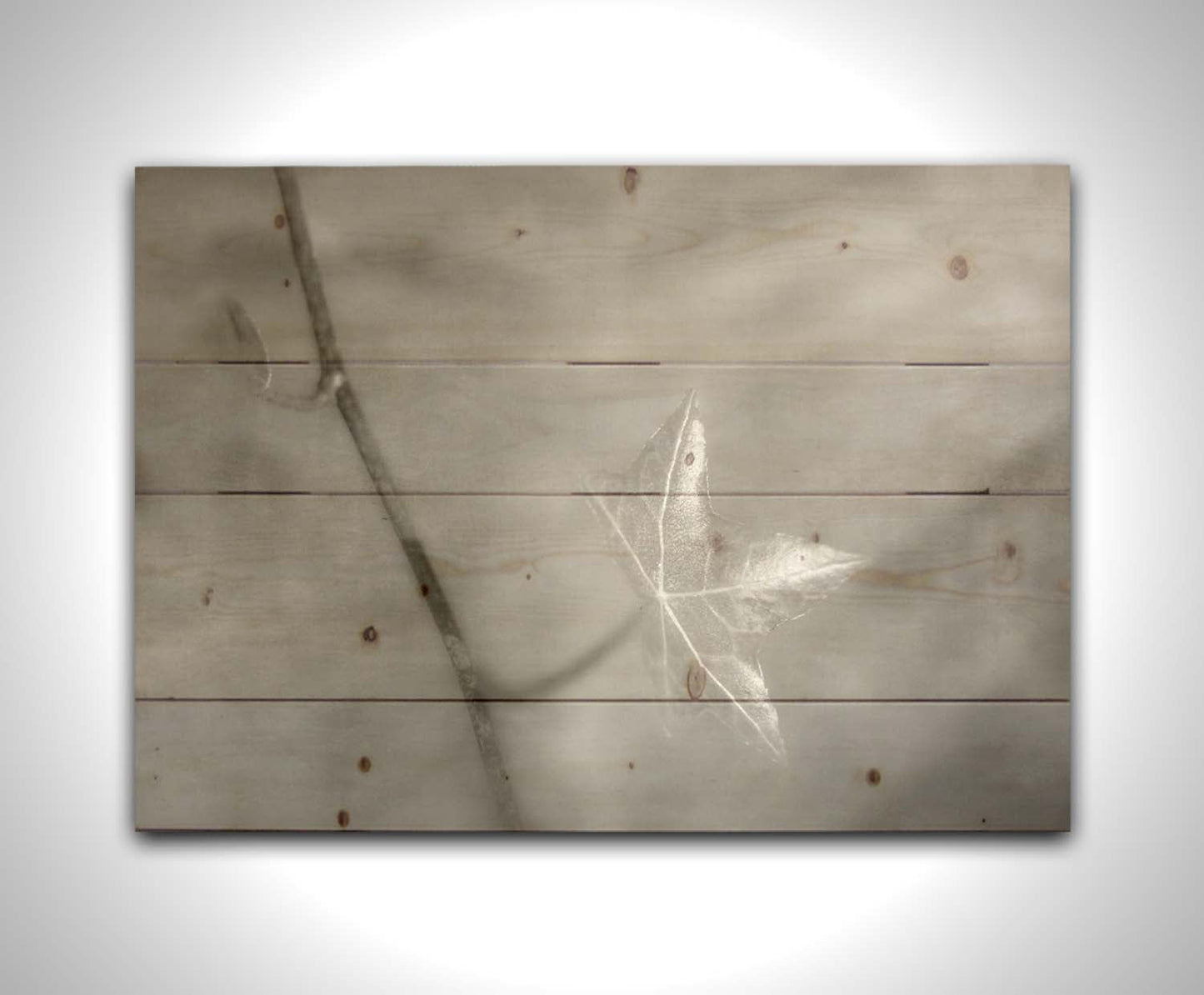 A grayscale photograph of a newly sprouted leaf on a twig, glowing in the sunlight. Printed on a wood pallet.