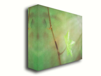 A photograph of a newly sprouted green leaf on a twig, glowing in the sunlight. Printed on canvas.