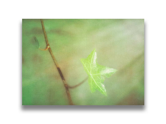 A photograph of a newly sprouted green leaf on a twig, glowing in the sunlight. Printed on canvas.