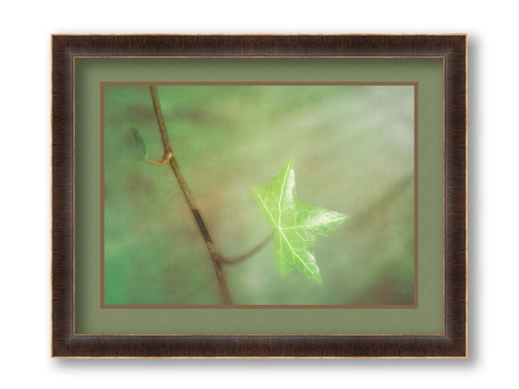 A photograph of a newly sprouted green leaf on a twig, glowing in the sunlight. Printed on paper, matted, and framed.