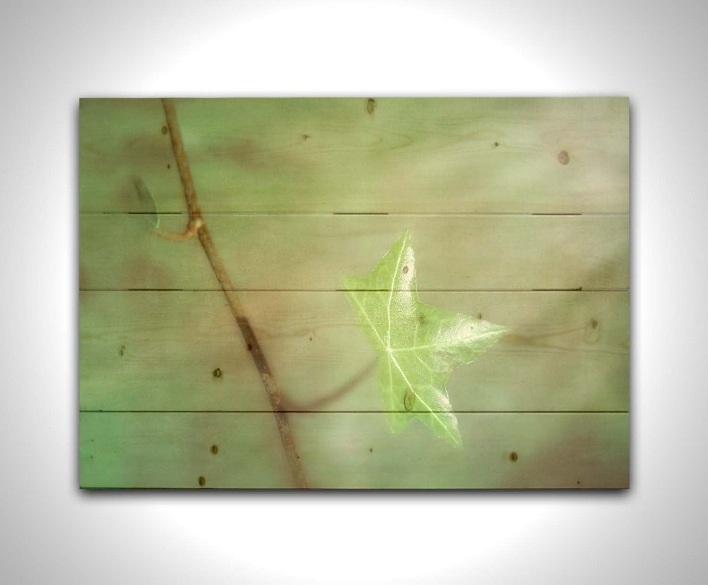 A photograph of a newly sprouted green leaf on a twig, glowing in the sunlight. Printed on a wood pallet.