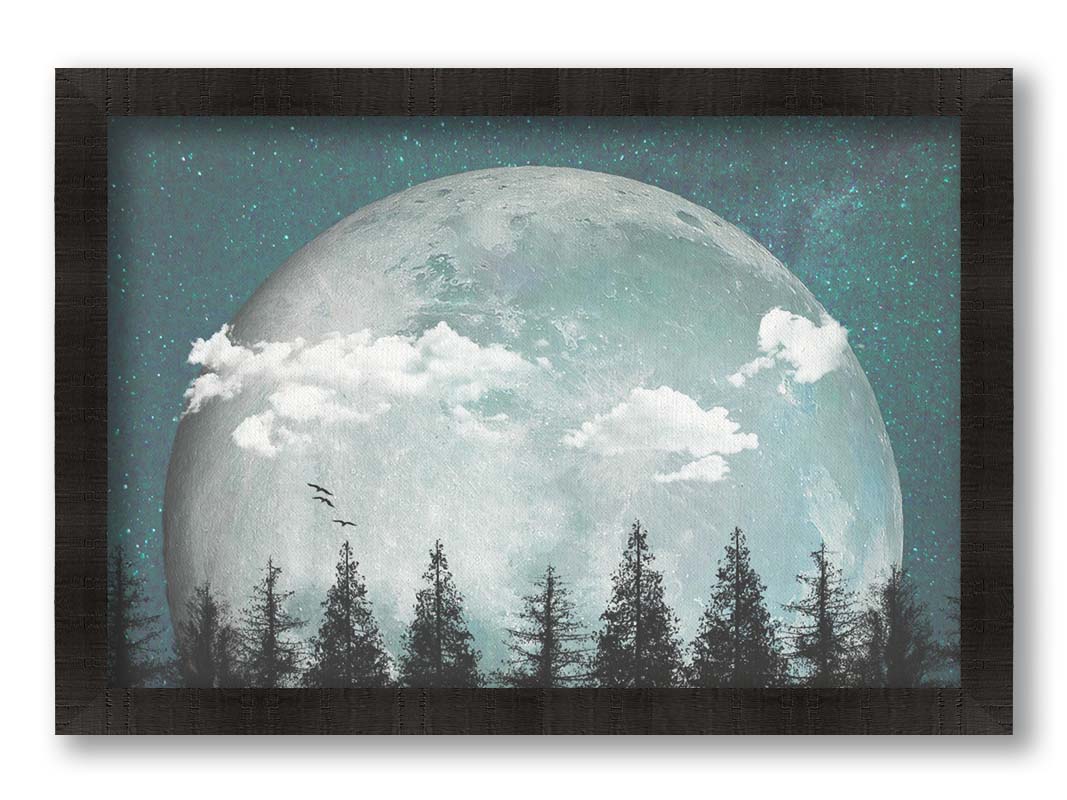 An edited collage of photos depicting an oversized moon over a silhouetted evergreen forest at night. A few clouds and bids pass across the scene. Printed on canvas and framed.