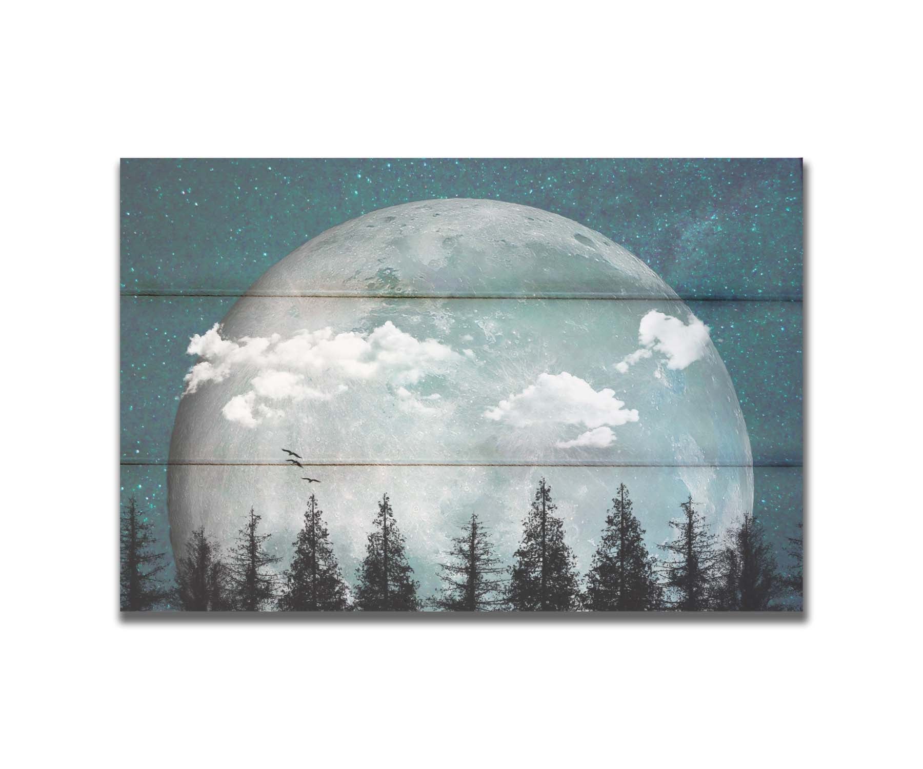 An edited collage of photos depicting an oversized moon over a silhouetted evergreen forest at night. A few clouds and bids pass across the scene. Printed on a box board.