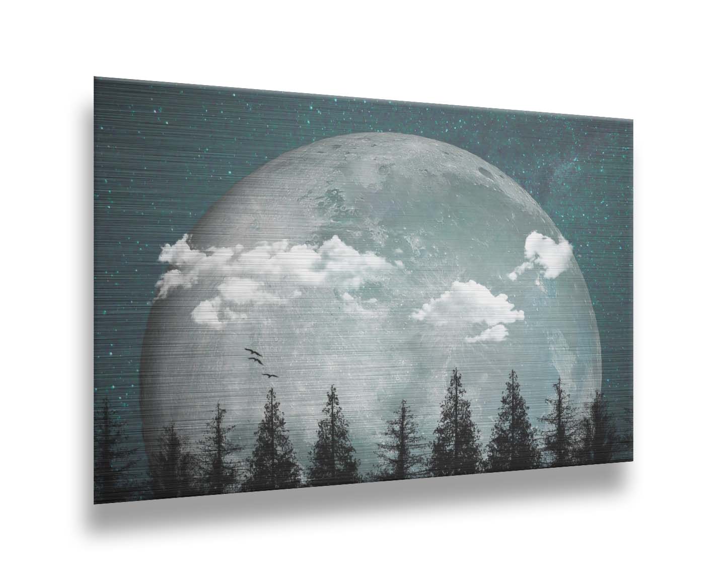 An edited collage of photos depicting an oversized moon over a silhouetted evergreen forest at night. A few clouds and bids pass across the scene. Printed on metal.