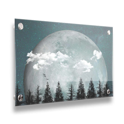 An edited collage of photos depicting an oversized moon over a silhouetted evergreen forest at night. A few clouds and bids pass across the scene. Printed on acrylic.