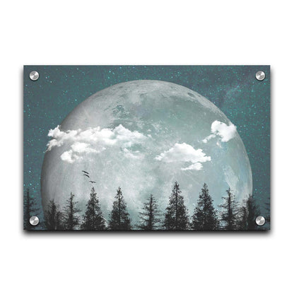 An edited collage of photos depicting an oversized moon over a silhouetted evergreen forest at night. A few clouds and bids pass across the scene. Printed on acrylic.