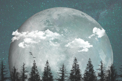 An edited collage of photos depicting an oversized moon over a silhouetted evergreen forest at night. A few clouds and bids pass across the scene.