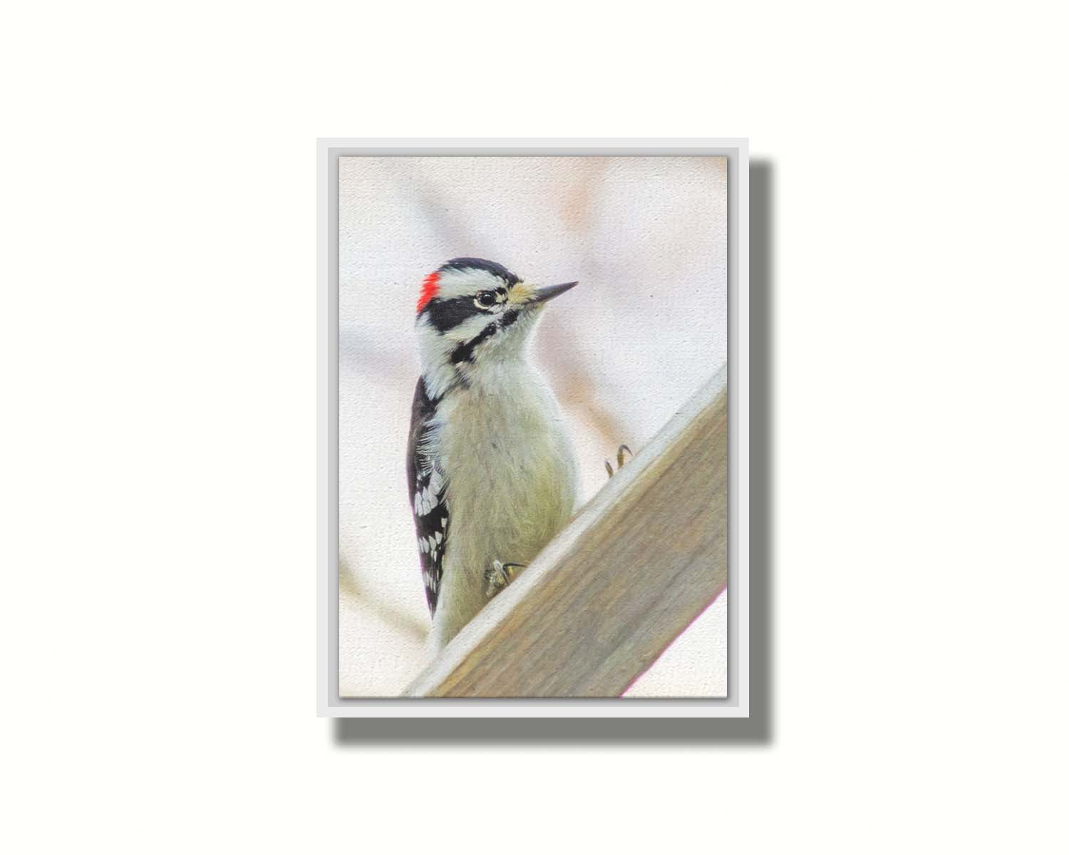 A photograph of a white, red, and black downy woodpecker bird perched on a wood beam, with an out of focus tree branch background. Printed on canvas in a float frame.