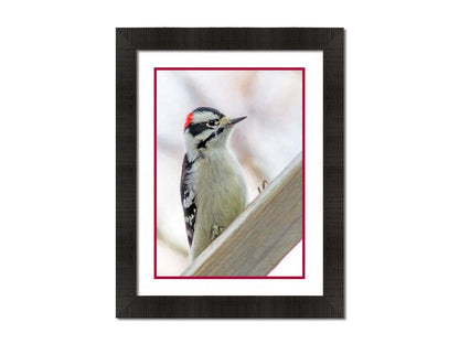 A photograph of a white, red, and black downy woodpecker bird perched on a wood beam, with an out of focus tree branch background. Printed on paper, matted, and framed.