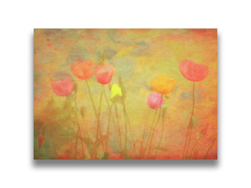 A photograph of tulips, edited with a dreamlike quality. The background is a blend of warm colors, abstracted and painterly. Printed on canvas.