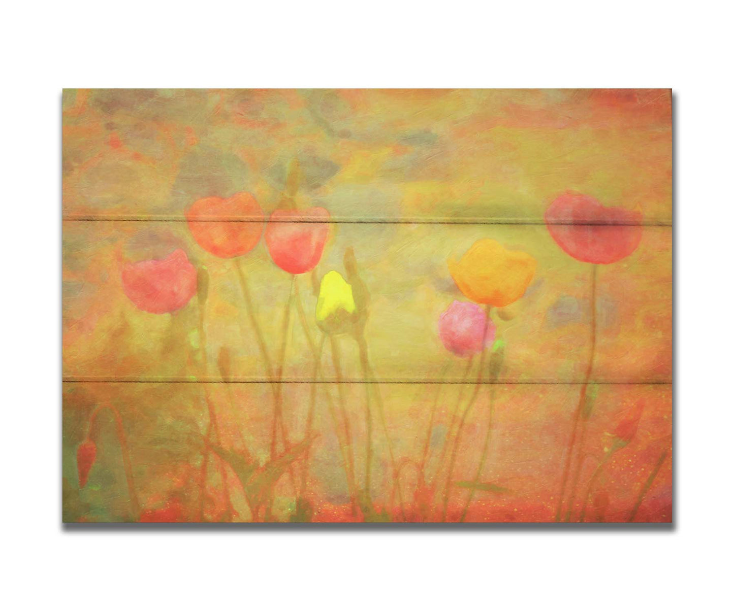 A photograph of tulips, edited with a dreamlike quality. The background is a blend of warm colors, abstracted and painterly. Printed on a box board.