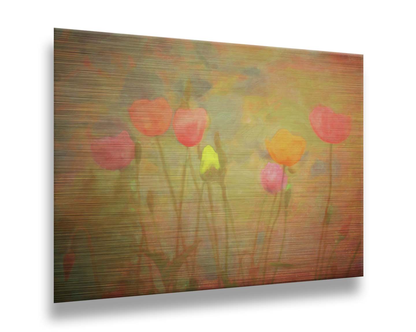 A photograph of tulips, edited with a dreamlike quality. The background is a blend of warm colors, abstracted and painterly. Printed on metal.