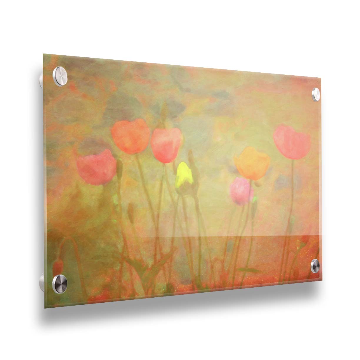 A photograph of tulips, edited with a dreamlike quality. The background is a blend of warm colors, abstracted and painterly. Printed on acrylic.