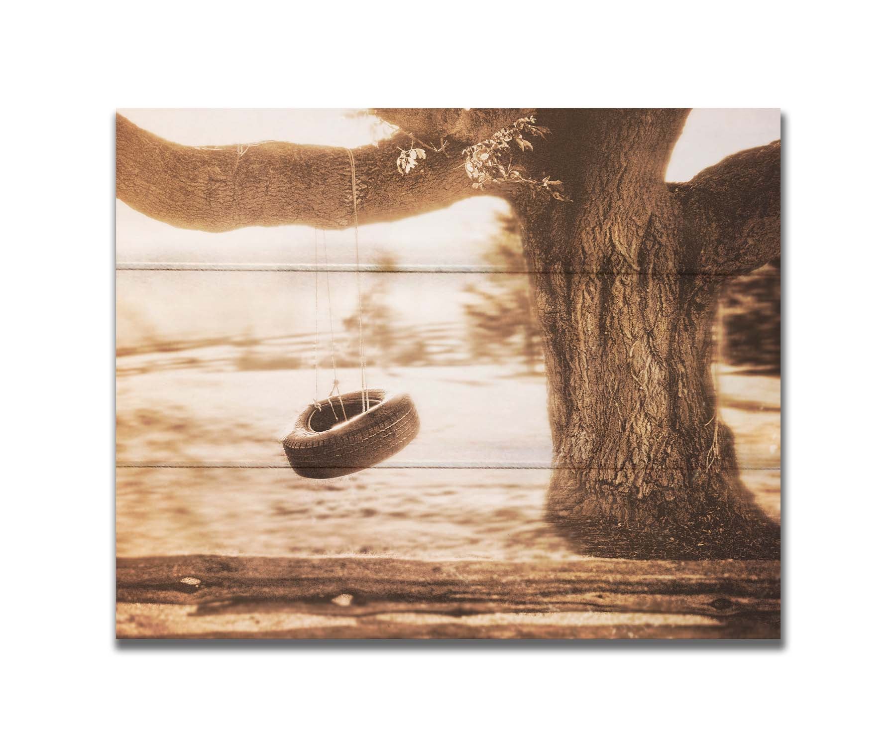 A sepia-tone photograph of a tire swing hanging from a sturdy tree in the daylight. Printed on a box board.