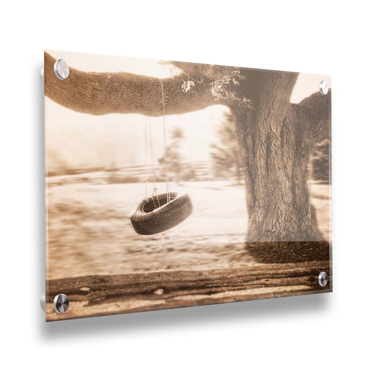 A sepia-tone photograph of a tire swing hanging from a sturdy tree in the daylight. Printed on acrylic.