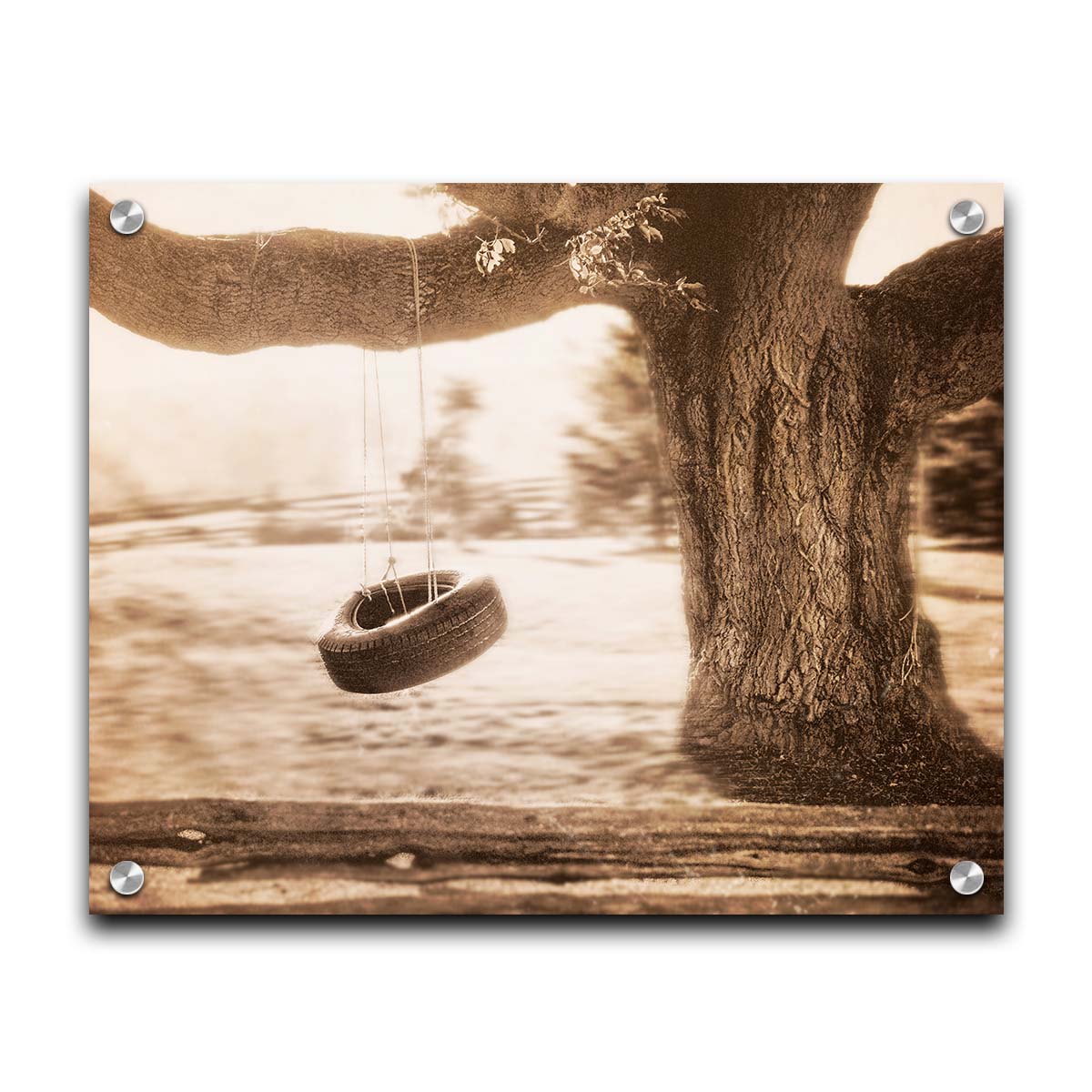 A sepia-tone photograph of a tire swing hanging from a sturdy tree in the daylight. Printed on acrylic.