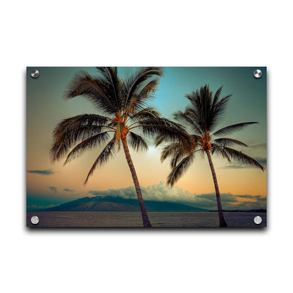 A photo of two palm trees in Maui at sunset, with the sea and cloud-topped mountains in the background. Printed on acrylic.