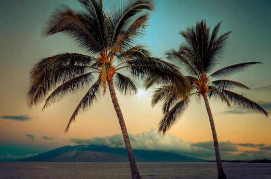 A photo of two palm trees in Maui at sunset, with the sea and cloud-topped mountains in the background.
