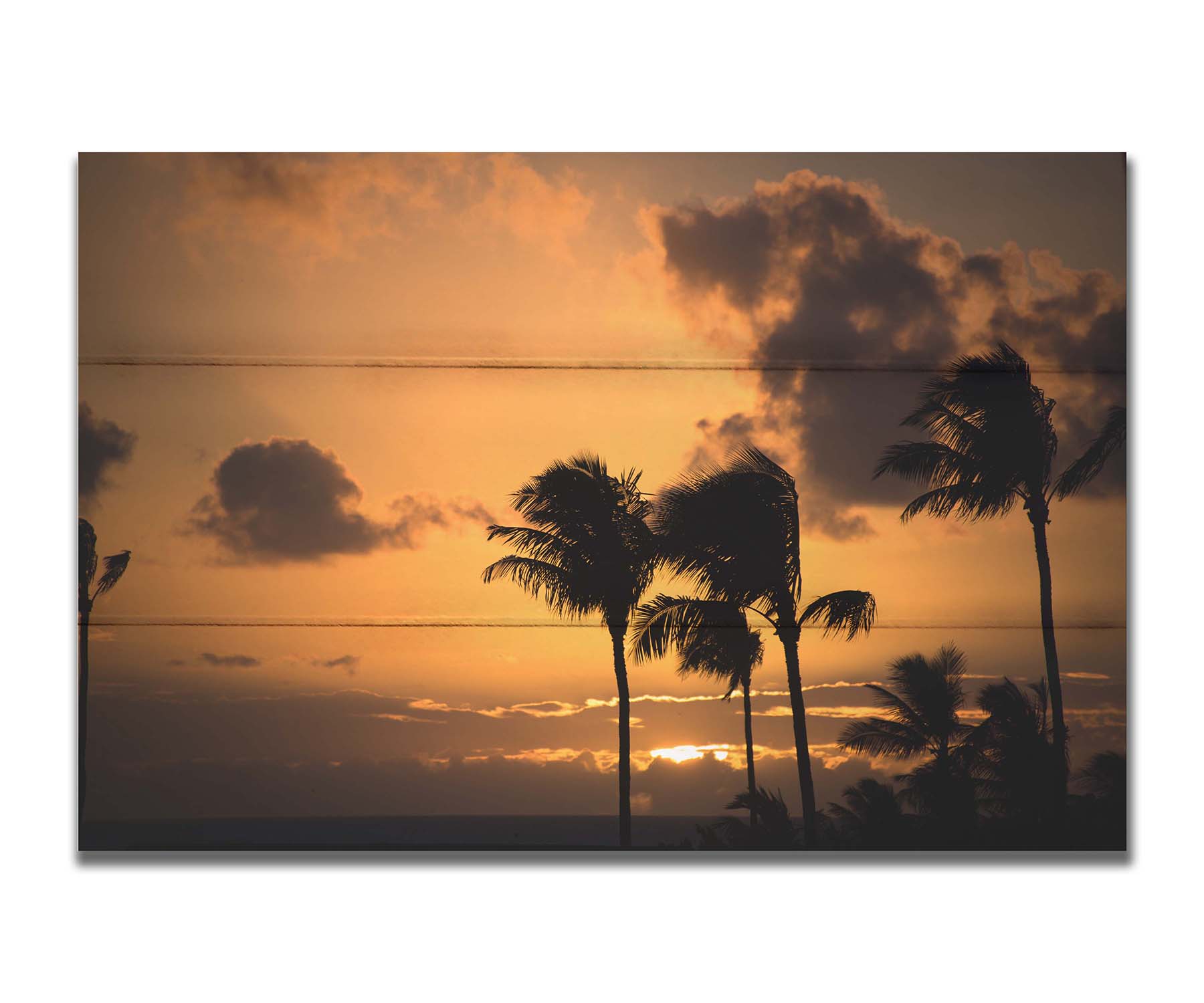 A photo of palm trees in Maui silhouetted by the setting sun, with the sea in the background. Printed on a box board.