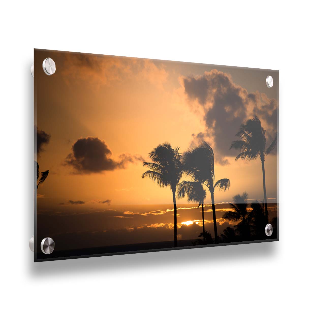 A photo of palm trees in Maui silhouetted by the setting sun, with the sea in the background. Printed on acrylic.