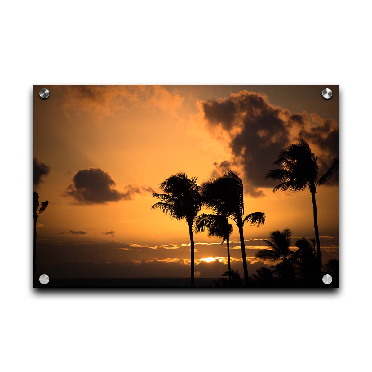 A photo of palm trees in Maui silhouetted by the setting sun, with the sea in the background. Printed on acrylic.