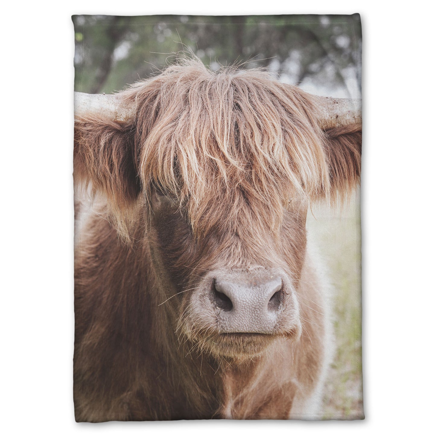 A fleece throw blanket designed with a closeup portrait photograph of a fluffy highland cow.