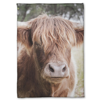 A fleece throw blanket designed with a closeup portrait photograph of a fluffy highland cow.