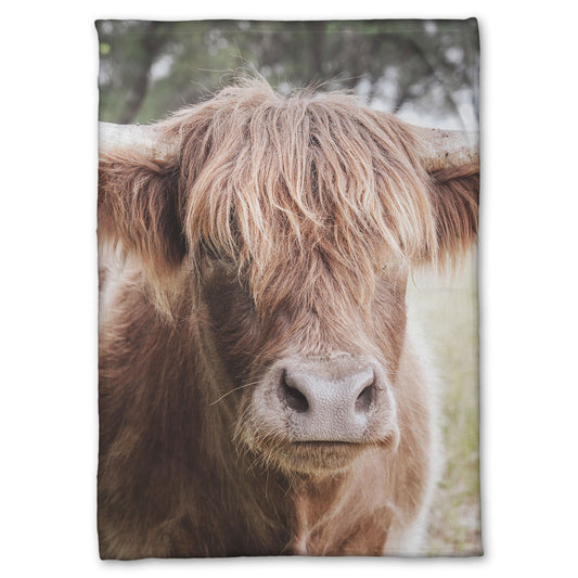 A fleece throw blanket designed with a closeup portrait photograph of a fluffy highland cow.