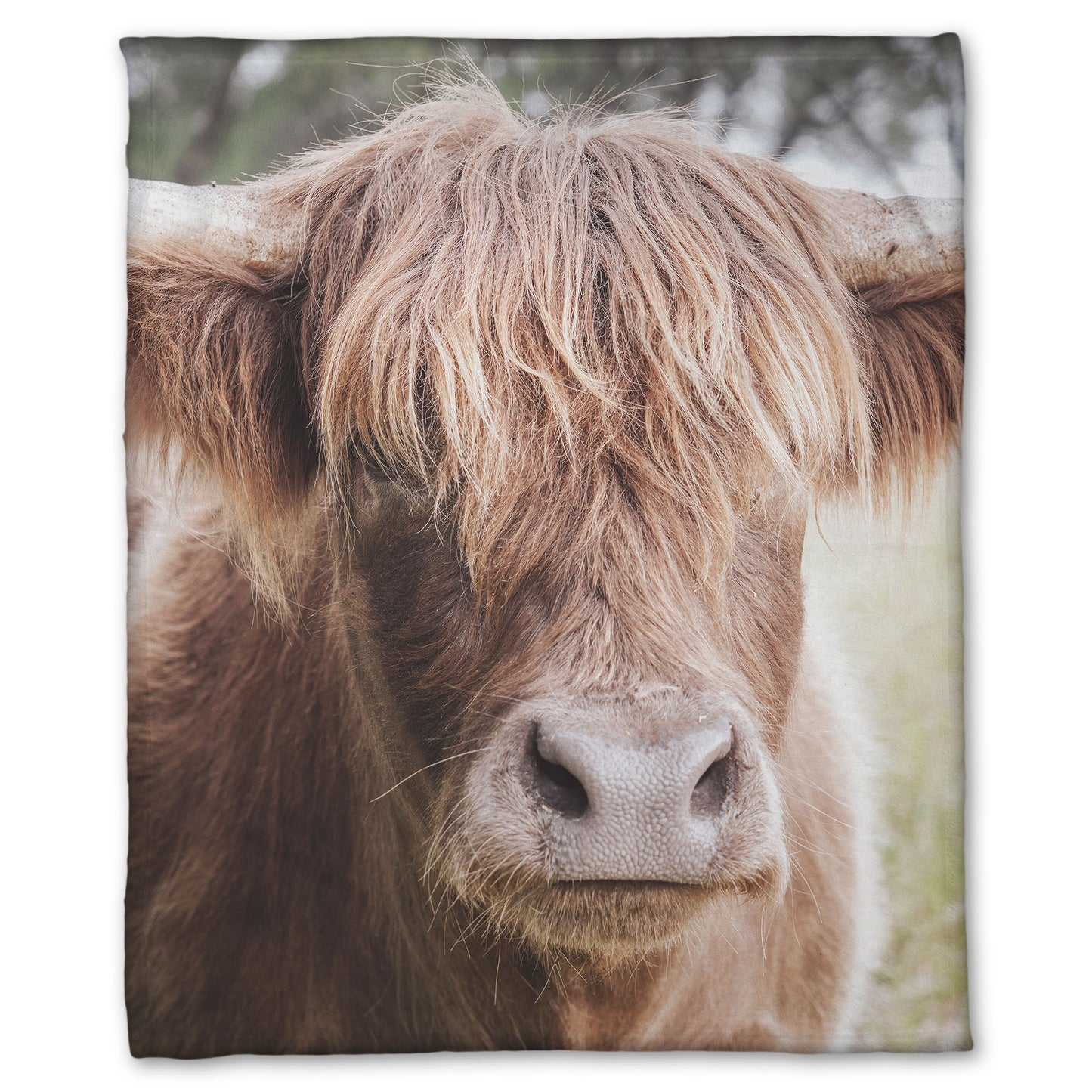 A fleece throw blanket designed with a closeup portrait photograph of a fluffy highland cow.