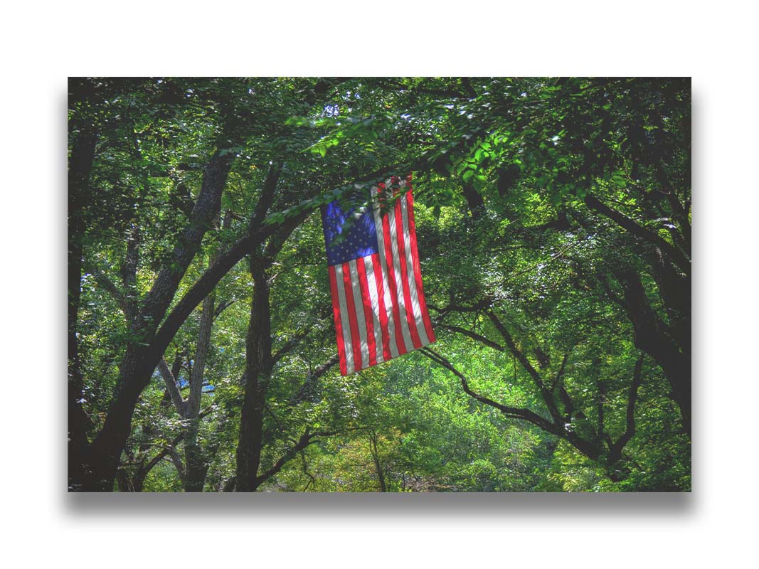 A photo of an american flag hanging from a tree branch, surrounded by greenery. Printed on canvas.