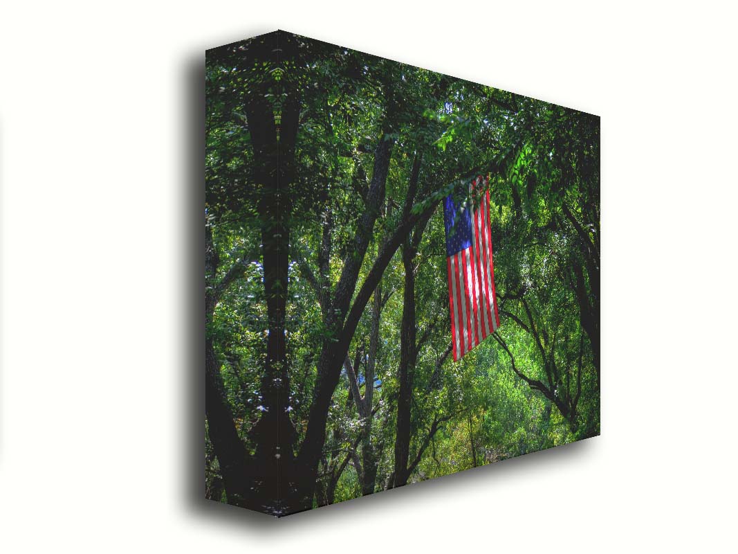 A photo of an american flag hanging from a tree branch, surrounded by greenery. Printed on canvas.