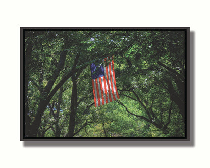 A photo of an american flag hanging from a tree branch, surrounded by greenery. Printed on canvas in a float frame.