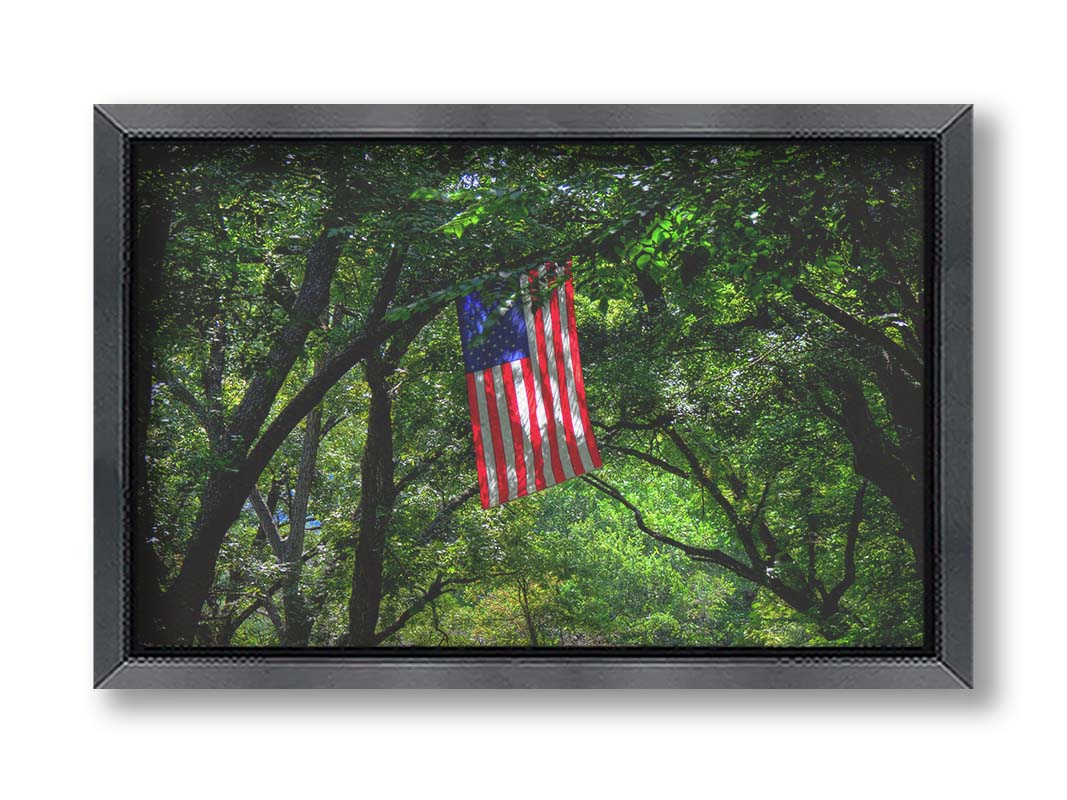 A photo of an american flag hanging from a tree branch, surrounded by greenery. Printed on canvas and framed.