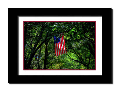 A photo of an american flag hanging from a tree branch, surrounded by greenery. Printed on paper, matted, and framed.