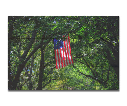 A photo of an american flag hanging from a tree branch, surrounded by greenery. Printed on a box board.