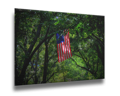 A photo of an american flag hanging from a tree branch, surrounded by greenery. Printed on metal.