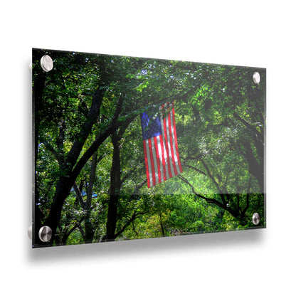 A photo of an american flag hanging from a tree branch, surrounded by greenery. Printed on acrylic.