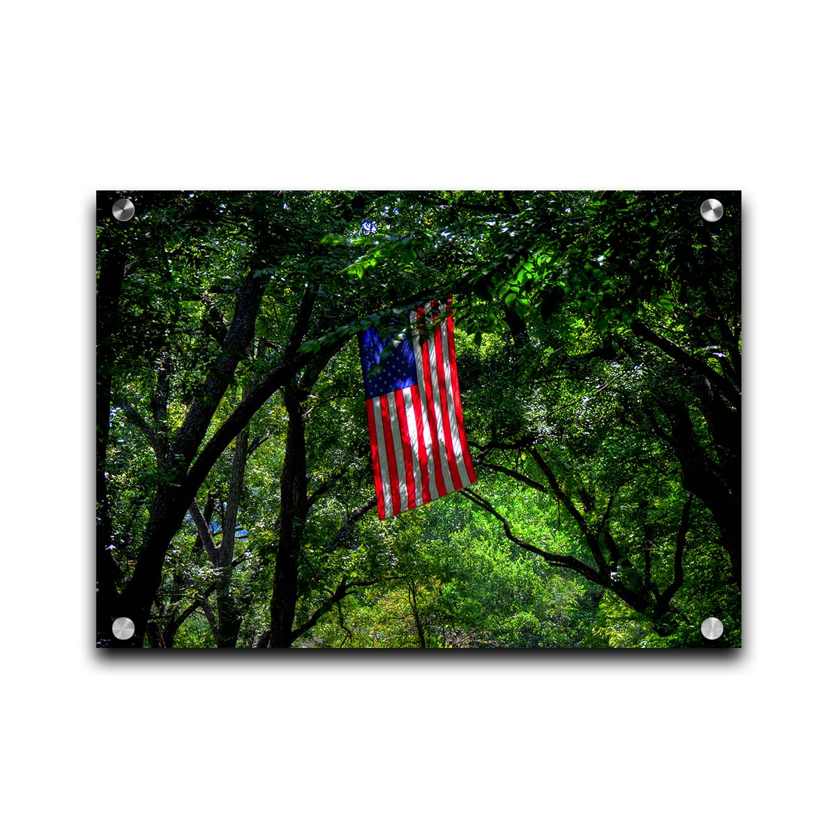 A photo of an american flag hanging from a tree branch, surrounded by greenery. Printed on acrylic.