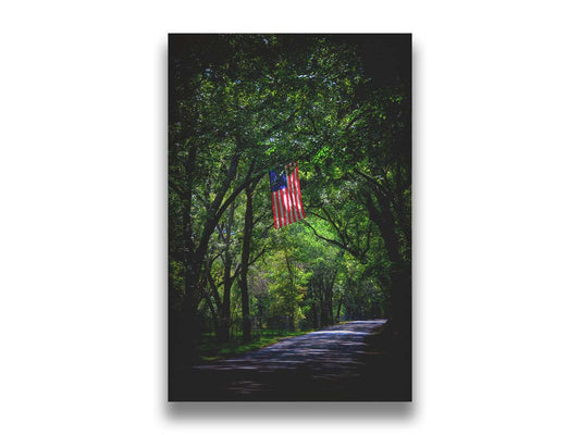 A photo of an American flag hanging from a branch over a road, surrounded by greenery and contrasted with a strong vignette. Printed on canvas.